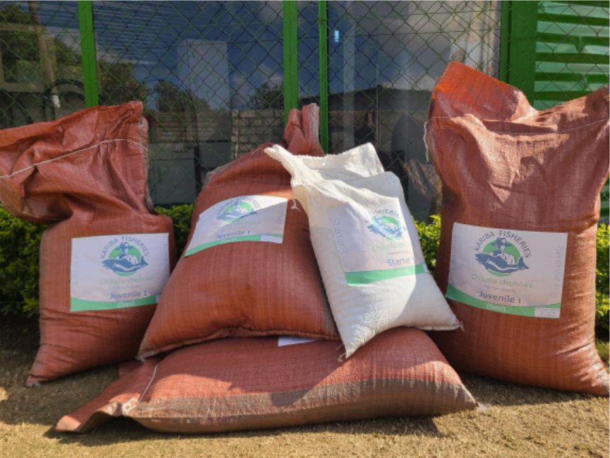 Fish Feed Supply Zimbabwe